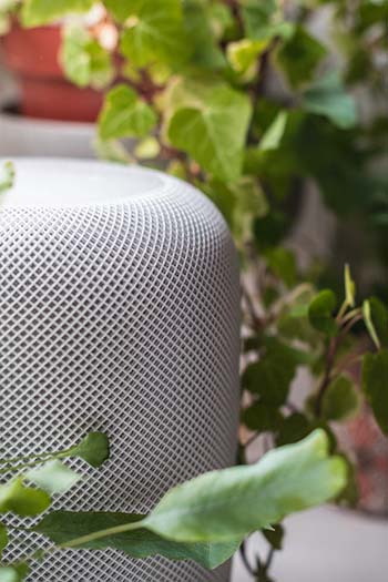 apple homepod